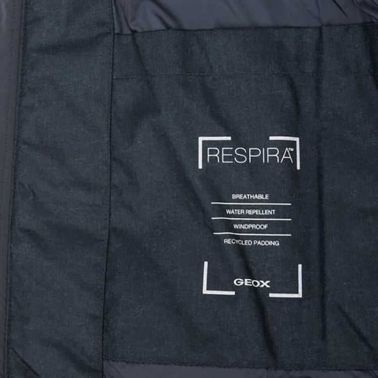 Veste GEOX HOMME