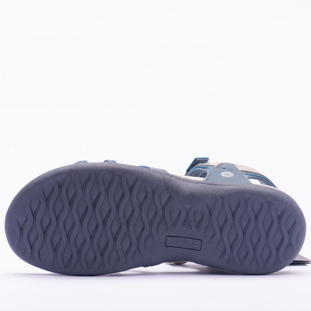 ANSELIA
Référence : O013713