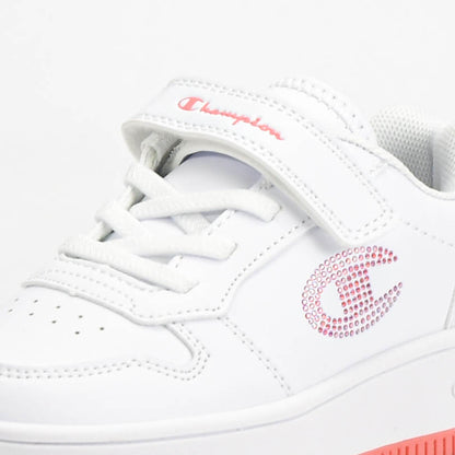 CHAMPION BASKET