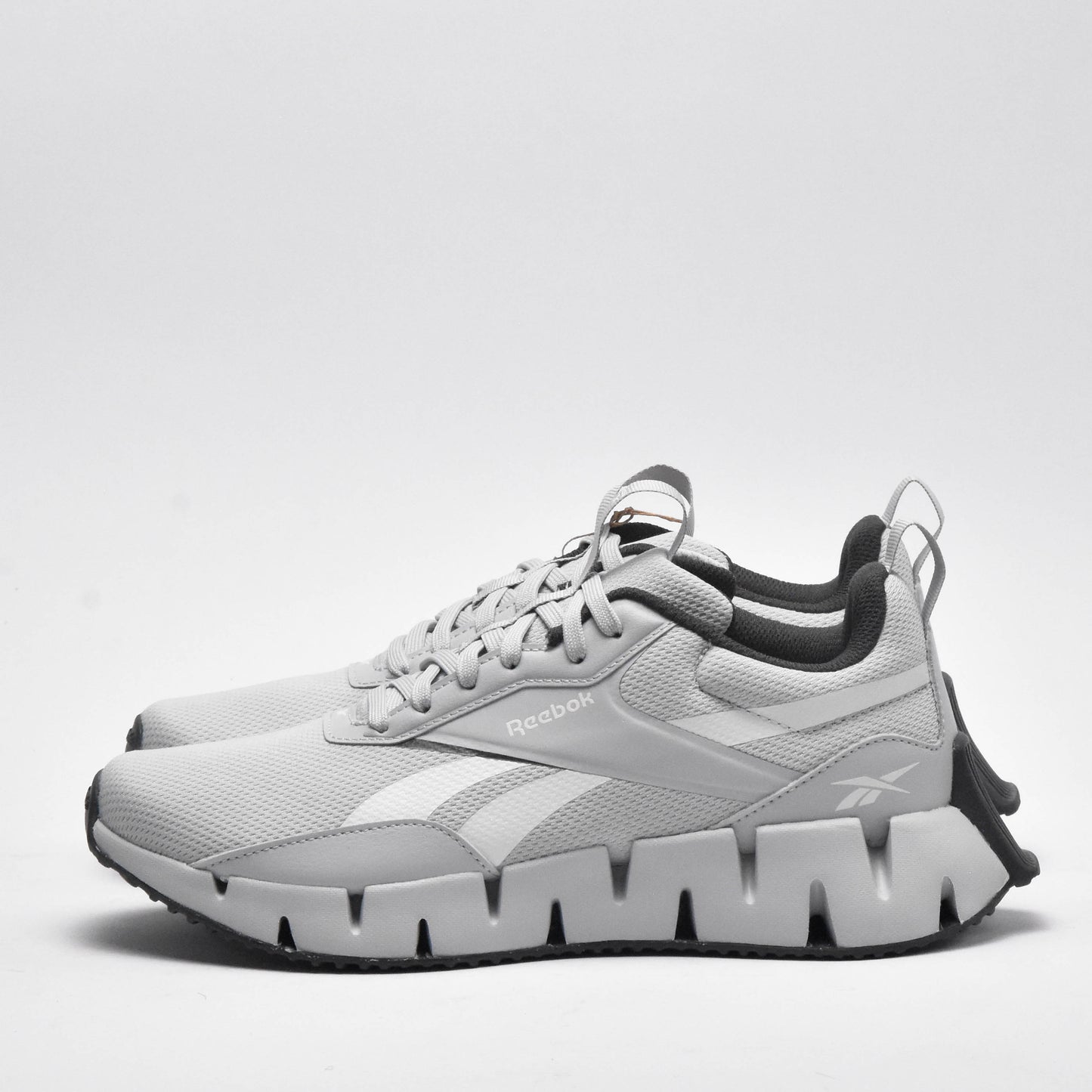 REEBOK ZIG DYNAMICA STR 100205466