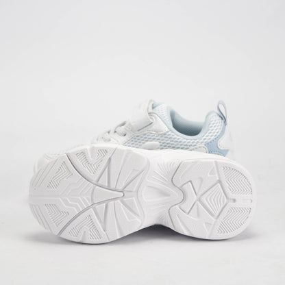 CHAMPION BASKET