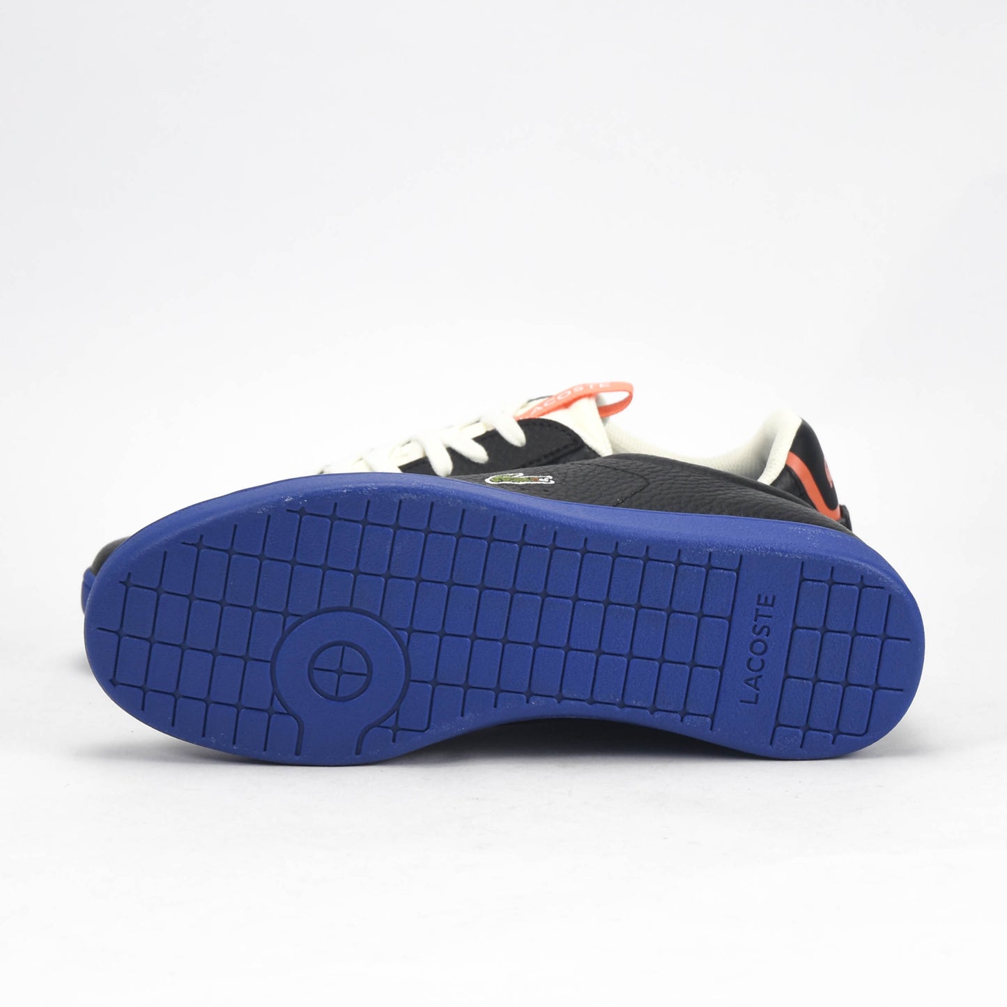 LACOSTE CARNABY EVO