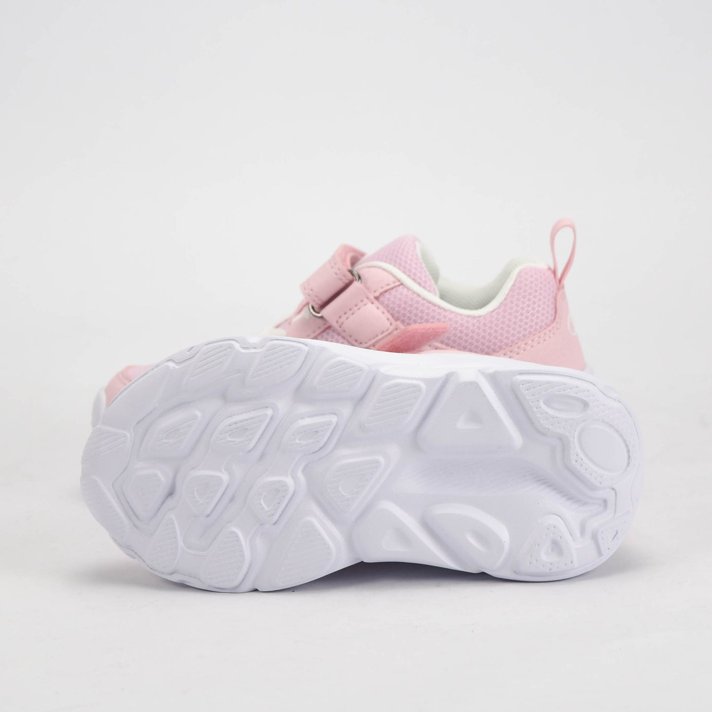 CHAMPION BASKET