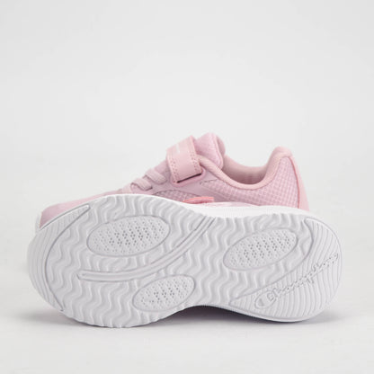 CHAMPION BASKET