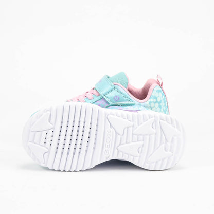 GEOX BASKET