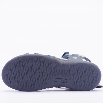 ANSELIA
Référence : O013713