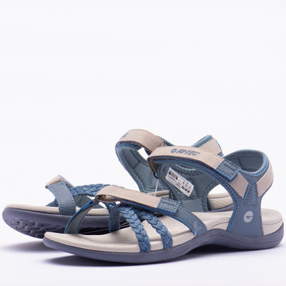 ANSELIA
Référence : O013713