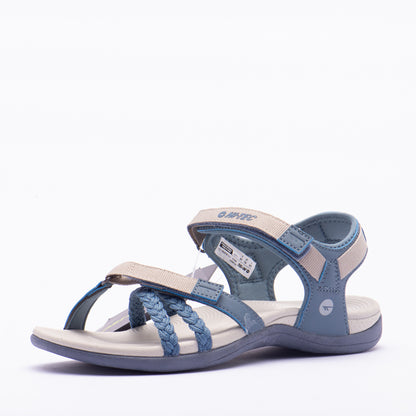 ANSELIA
Référence : O013713