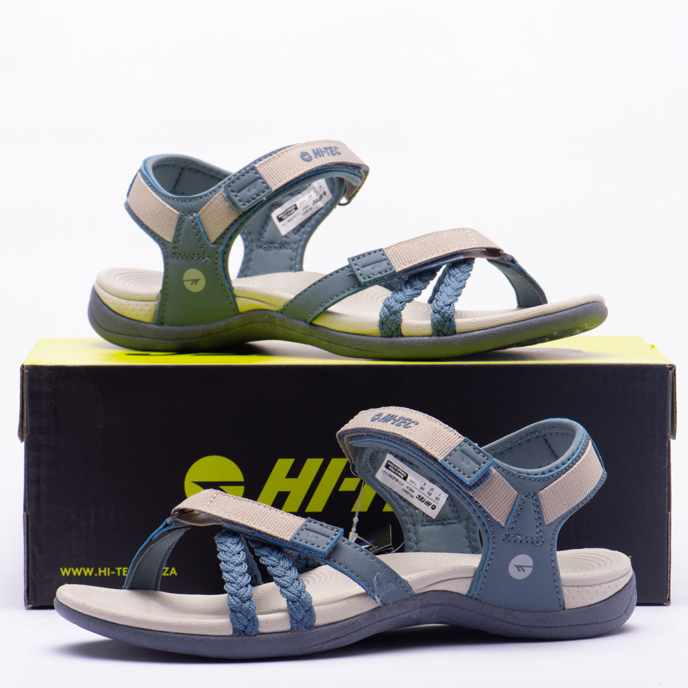 ANSELIA
Référence : O013713